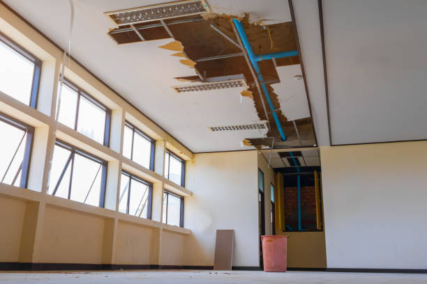 Best Carpet water damage restoration  in Phoenix, OR