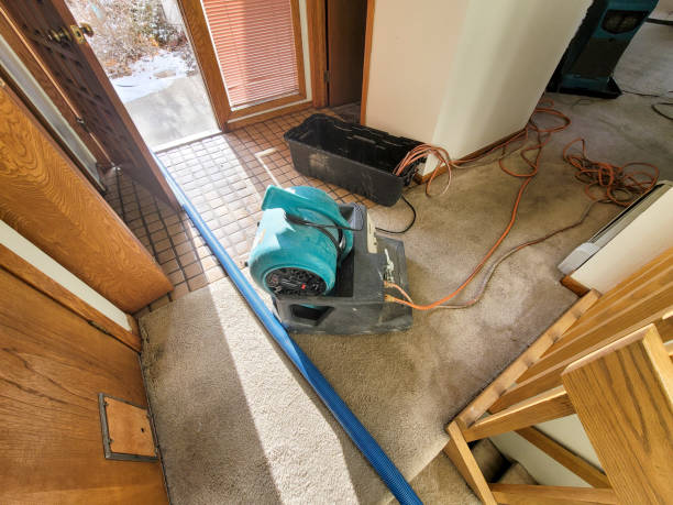 Best Mold removal after water damage  in Phoenix, OR